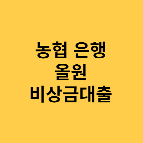 농협 은행 올원 비상금대출