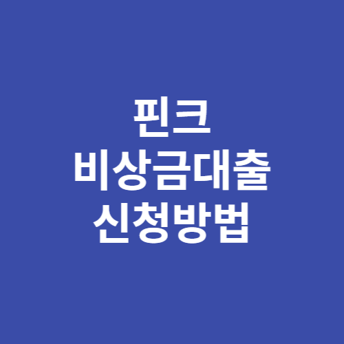 핀크 비상금대출 금리 한도 신청방법