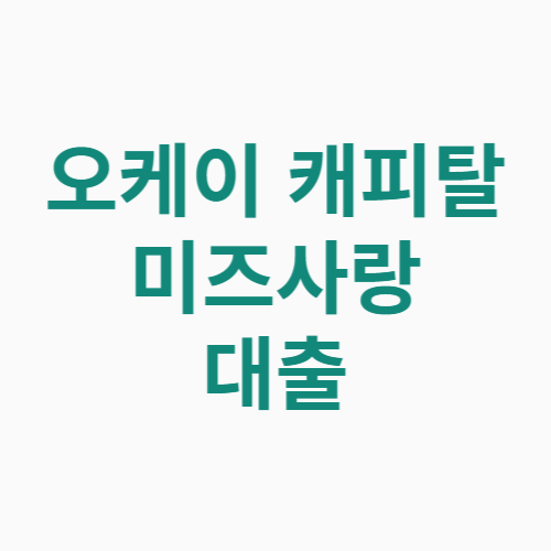 미즈사랑 대출