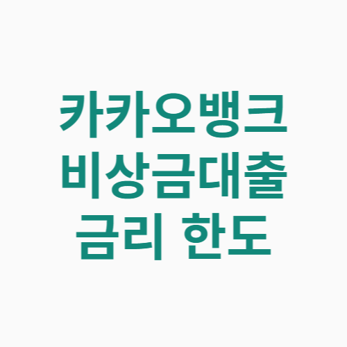 카카오뱅크 비상금대출