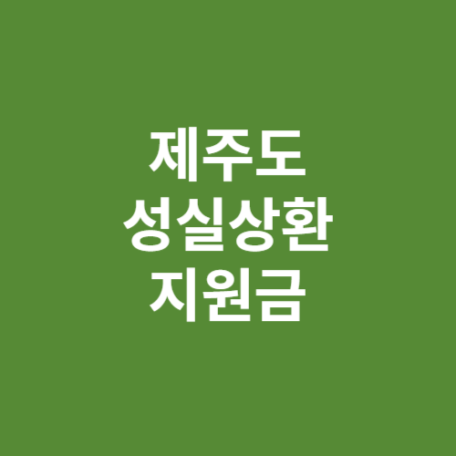 제주도 성실상환 지원금