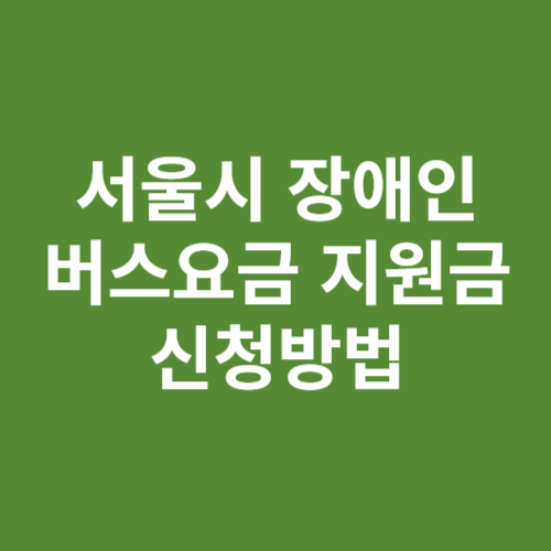 서울시 장애인 버스요금 지원금