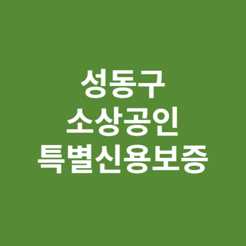 성동구 소상공인 특별신용보증