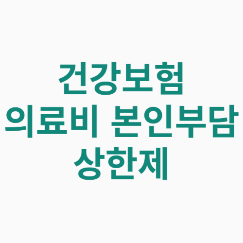 건강보험 의료비 본인부담 상한제 환급 신청