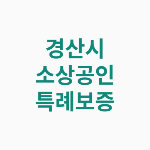 경산시 소상공인 특례보증