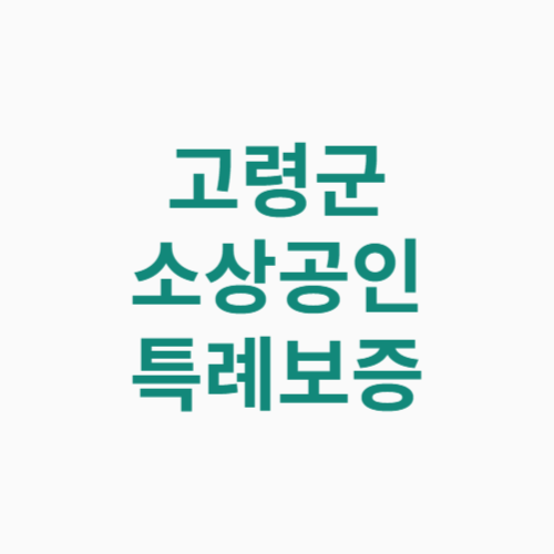 고령군 소상공인 특례보증