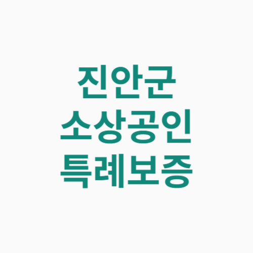 진안군 소상공인 특례보증