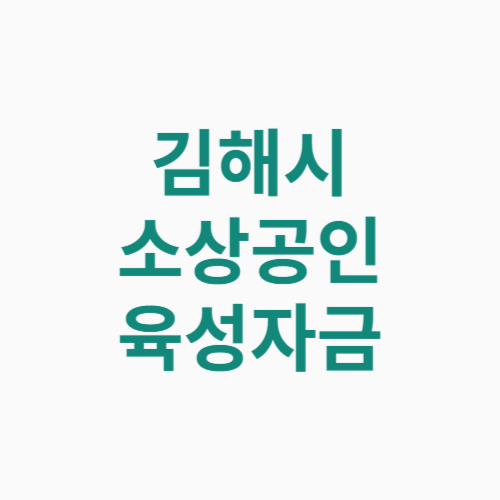 김해시 소상공인 육성자금