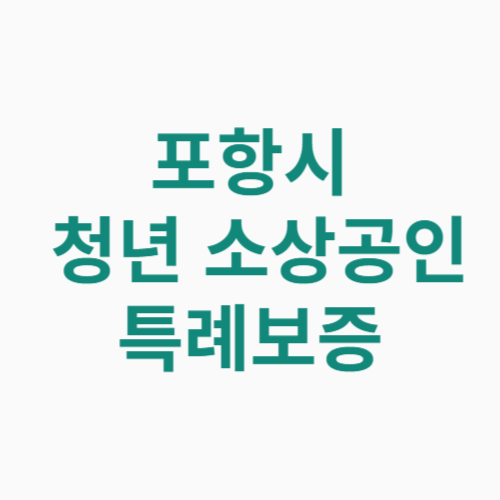 포항시 청년 소기업 소상공인 특례보증