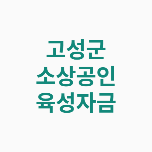 고성군 소상공인 육성자금