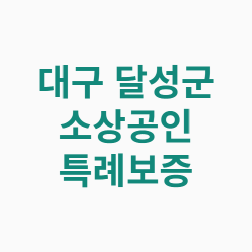 대구 달성군 소상공인 특례보증