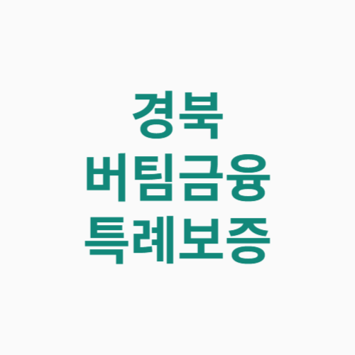 경북 버팀금융 특례보증