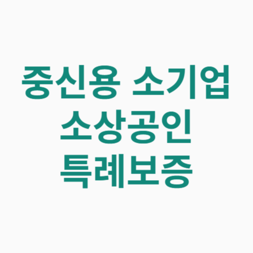 중신용 소기업 소상공인 특례보증 지원대상