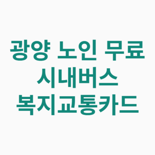 광양 노인 무료 시내버스 복지교통카드 신청방법