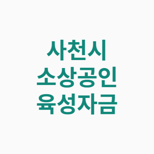 사천시 소상공인 육성자금