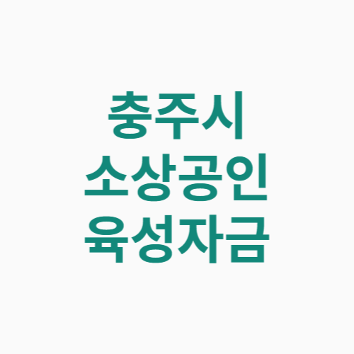 충주시 소상공인 지원자금