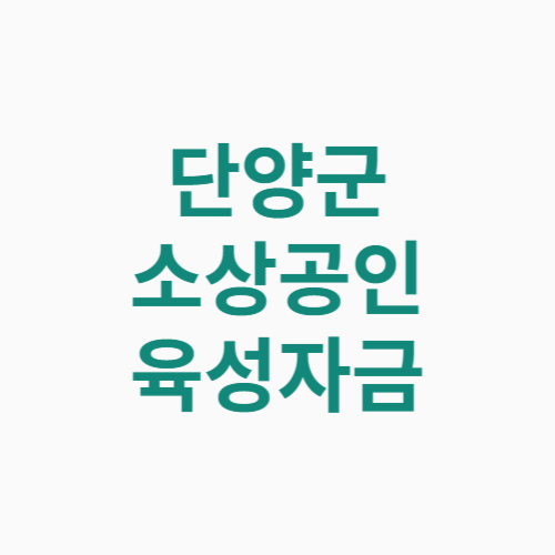 단양군 소상공인 지원자금