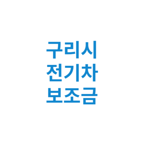 구리시 전기차 보조금 현황 조회 기준 신청