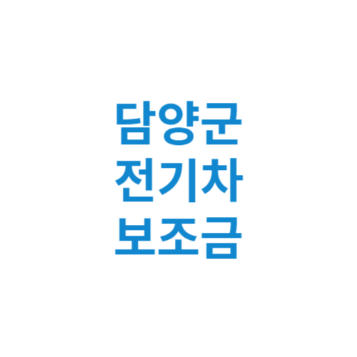 담양군 전기차 보조금 현황 조회 기준 신청