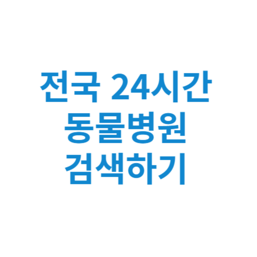 전국 24시간 동물병원 지역별 검색 하기