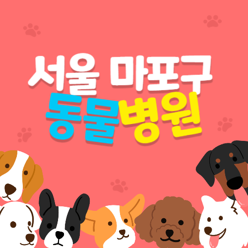 서울 마포구 동물병원 24시 리스트 추천 전화번호 위치 주소 진료비